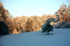 Alentours de Hagenthal sous la neige